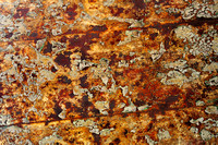rust paint_0389.jpg