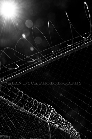 consatina wire fence night BW_8146