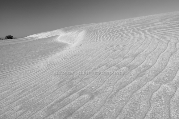 sand dune_sweep_D854267