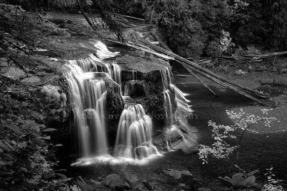 Lower Lewis River Falls above 50mm_bw_D850428