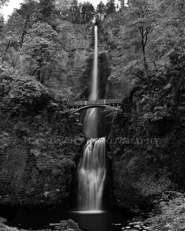Multnomah Falls_Panorama1 BW
